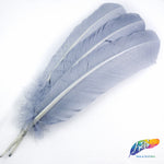 10-12" Turkey Quills (Sold Per Piece)