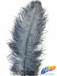 18-22" Ostrich Plumes