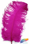 18-22" Ostrich Plumes