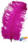 18-22" Ostrich Plumes