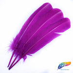 10-12" Turkey Quills (Sold Per Piece)