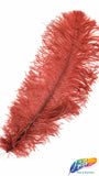 18-22" Ostrich Plumes