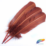 10-12" Turkey Quills (Sold Per Piece)