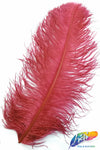 18-22" Ostrich Plumes