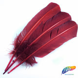 10-12" Turkey Quills (Sold Per Piece)