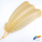 10-12" Turkey Quills (Sold Per Piece)