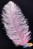 18-22" Ostrich Plumes