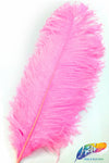 18-22" Ostrich Plumes