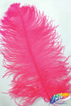 18-22" Ostrich Plumes