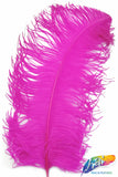 18-22" Ostrich Plumes