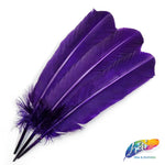 10-12" Turkey Quills (Sold Per Piece)