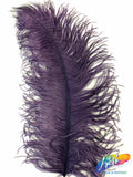 18-22" Ostrich Plumes