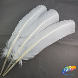 10-12" Turkey Quills (Sold Per Piece)