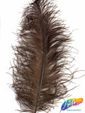 18-22" Ostrich Plumes