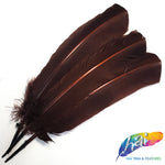 10-12" Turkey Quills (Sold Per Piece)