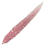 18-20" Bleached Dyed Ostrich Nandu