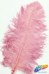 18-22" Ostrich Plumes