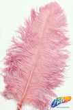 18-22" Ostrich Plumes