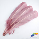 10-12" Turkey Quills (Sold Per Piece)