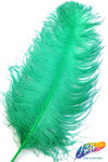 18-22" Ostrich Plumes