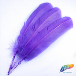 10-12" Turkey Quills (Sold Per Piece)