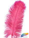 18-22" Ostrich Plumes