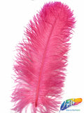 18-22" Ostrich Plumes