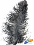 18-22" Ostrich Plumes