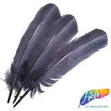 10-12" Turkey Quills (Sold Per Piece)