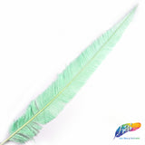 18-20" Bleached Dyed Ostrich Nandu