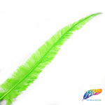 18-20" Bleached Dyed Ostrich Nandu