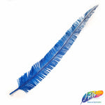 18-20" Bleached Dyed Ostrich Nandu