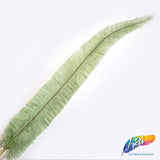 18-20" Bleached Dyed Ostrich Nandu