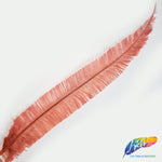 18-20" Bleached Dyed Ostrich Nandu