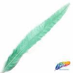 18-20" Bleached Dyed Ostrich Nandu