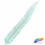18-20" Bleached Dyed Ostrich Nandu