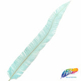 18-20" Bleached Dyed Ostrich Nandu
