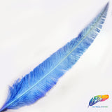 18-20" Bleached Dyed Ostrich Nandu