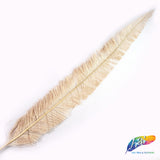 18-20" Bleached Dyed Ostrich Nandu