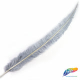 18-20" Bleached Dyed Ostrich Nandu