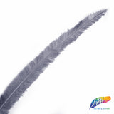 18-20" Bleached Dyed Ostrich Nandu