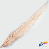 18-20" Bleached Dyed Ostrich Nandu