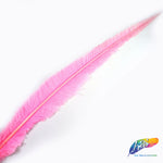 18-20" Bleached Dyed Ostrich Nandu