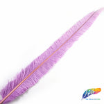 18-20" Bleached Dyed Ostrich Nandu