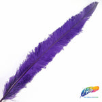 18-20" Bleached Dyed Ostrich Nandu