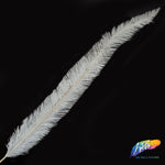 18-20" Bleached Dyed Ostrich Nandu