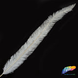 18-20" Bleached Dyed Ostrich Nandu