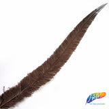 18-20" Bleached Dyed Ostrich Nandu