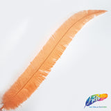 18-20" Bleached Dyed Ostrich Nandu