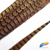 18-20" Natural Ringneck Pheasant Tails